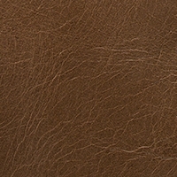 Leather - Cat. B+ - Leonardo - 1007