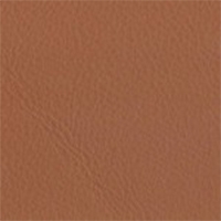 Type L: Leather - Caramel