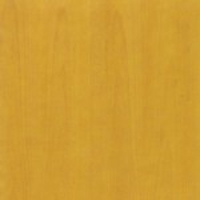 Wood - Stained beech - Mustard