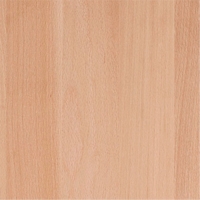 Wood - Natural Beech - FN