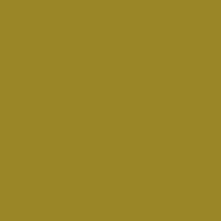 X05 - Opaque Mustard Lacquer