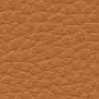Eco Leather - Ginkgo - 013320 15