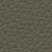 Eco Leather - Ginkgo - 013320 48