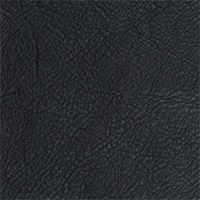 Leather - Arizona - 4087