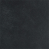 Leather - Colorado - 2562