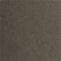 Leather - Colorado - 2557