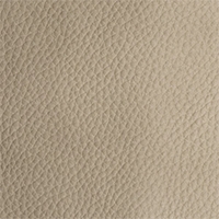 Leather - Royal - 2357 - cloudy effect