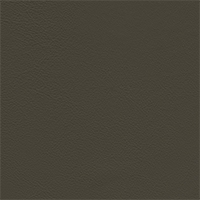 Major - Leather - Nuvola 112 - Beola