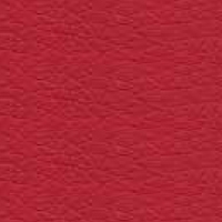 Eco-leather - S_03 - red