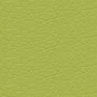 Eco-leather - S_74 - olive green