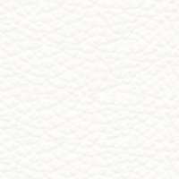 Leather - P_1 - White