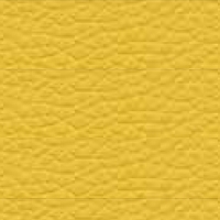 Leather - P_4 - Yellow