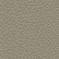 Leather - P_29 - Gull grey