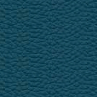 Leather - P_34 - Oil blue