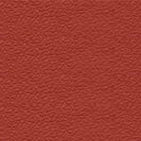 Grain leather - PF_65 - brick red