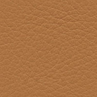 Leather 0315 - Cat. 95
