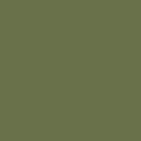Lacquered - B85 Verde Moss