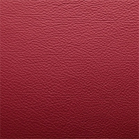 Leather - M55 - Red