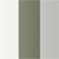 White, Green L1, Grey L1