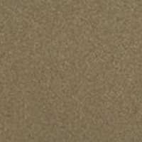 Painted Metal - Pnew - Embossed Taupe 68