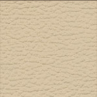 Ecological leather - TR501 - Beige