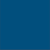 Technopolymer - 60 - Blue