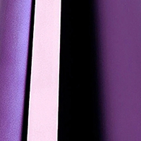 ABS - Purple