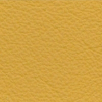 Cat. B - Leather - Atlas - 620 Yellow