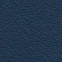 Cat. B - Leather - Atlas - 624 Light Blue