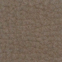 Cat. D - Leather - Seta - Dove gray