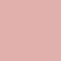 Lacquered - pink 26 plus