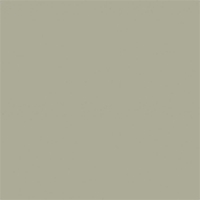 C25 - Cuoio seta grigio